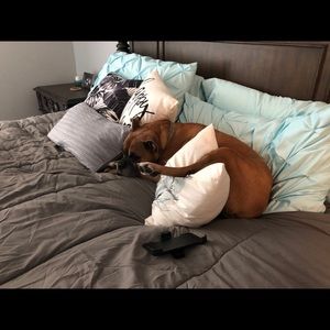 Meet your Posher, Mark